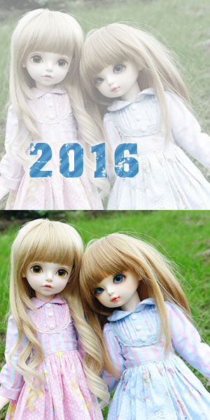 2016 年相簿