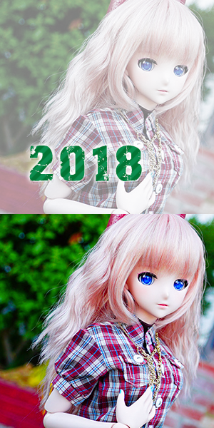 2018 年相簿