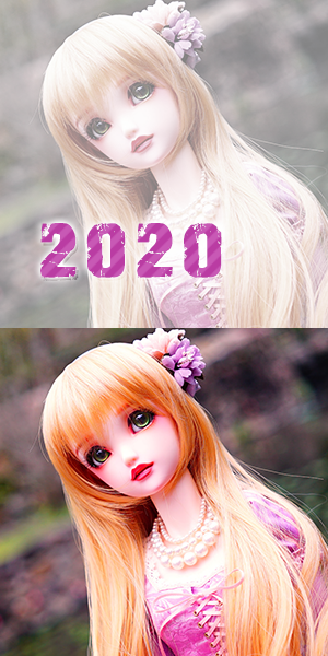 2020 年相簿